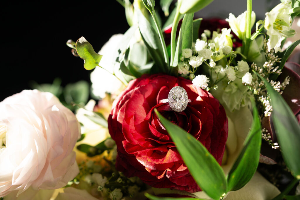 Diamond engagement ring with diamond halo inside of a red ranunculus flower