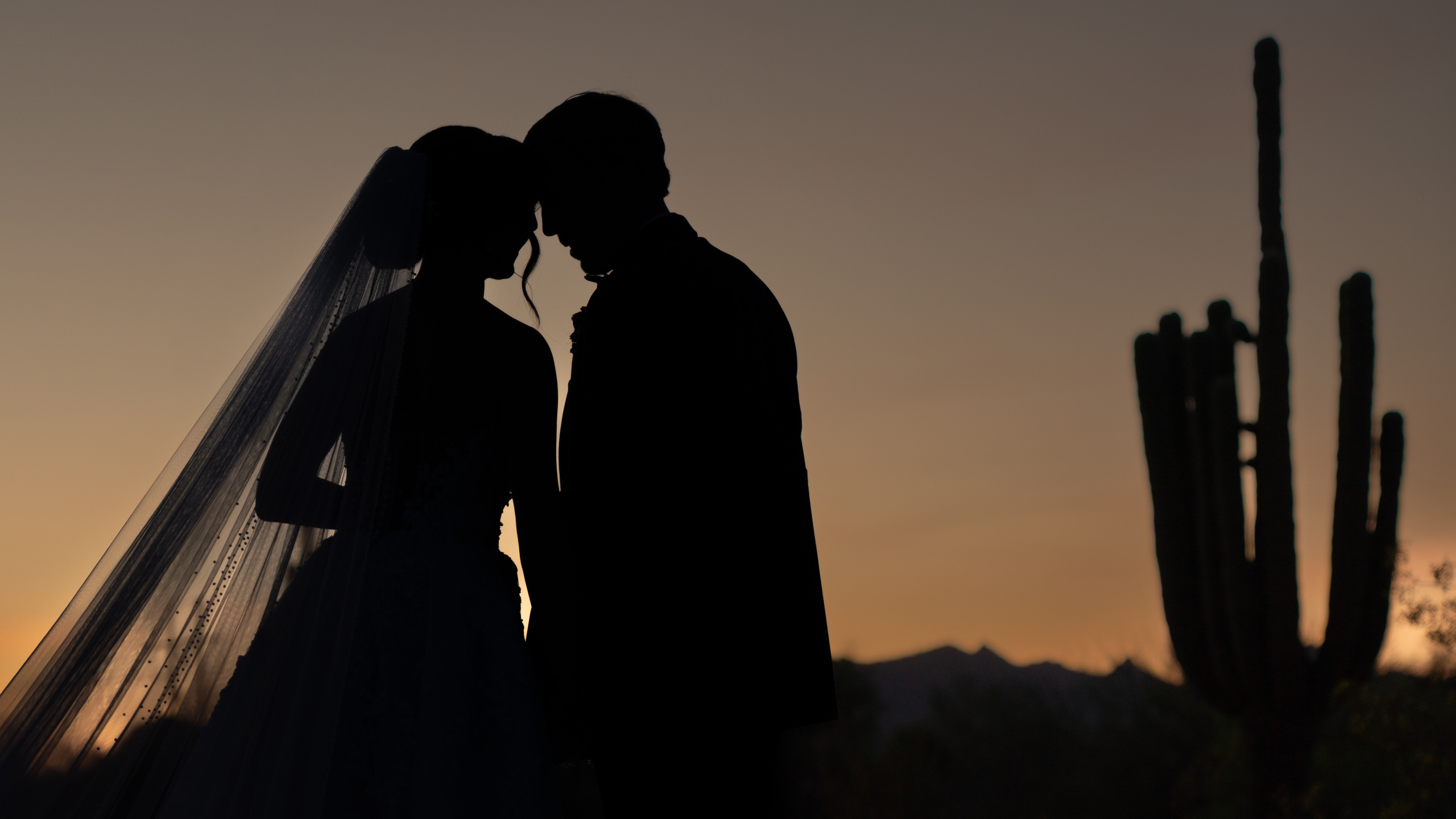 silhouette of couple with their foreheads together with sunset cacti background
