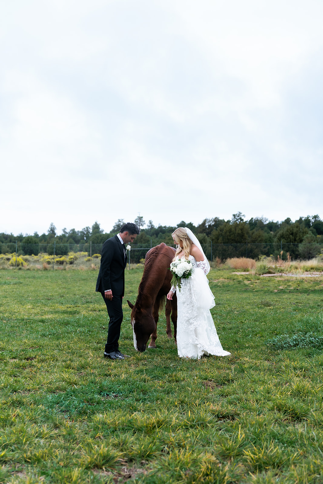 bride and groom candid photo with a horse outside on their wedding day at the sycamore in flagstaff