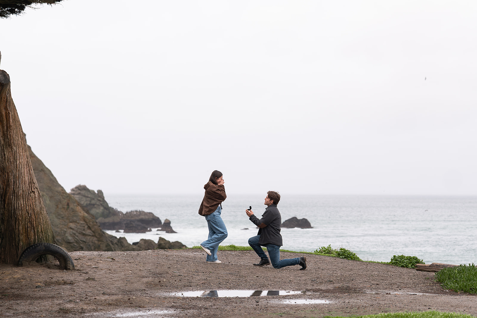Mori-Point-Proposal_its-a-snap-media.webp