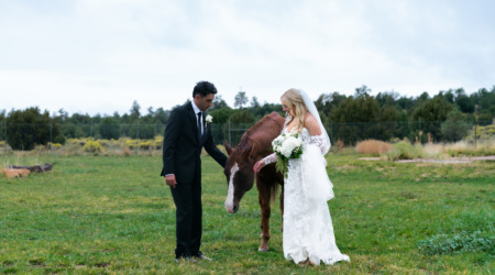 Fall Wedding at The Sycamore | Flagstaff, AZ