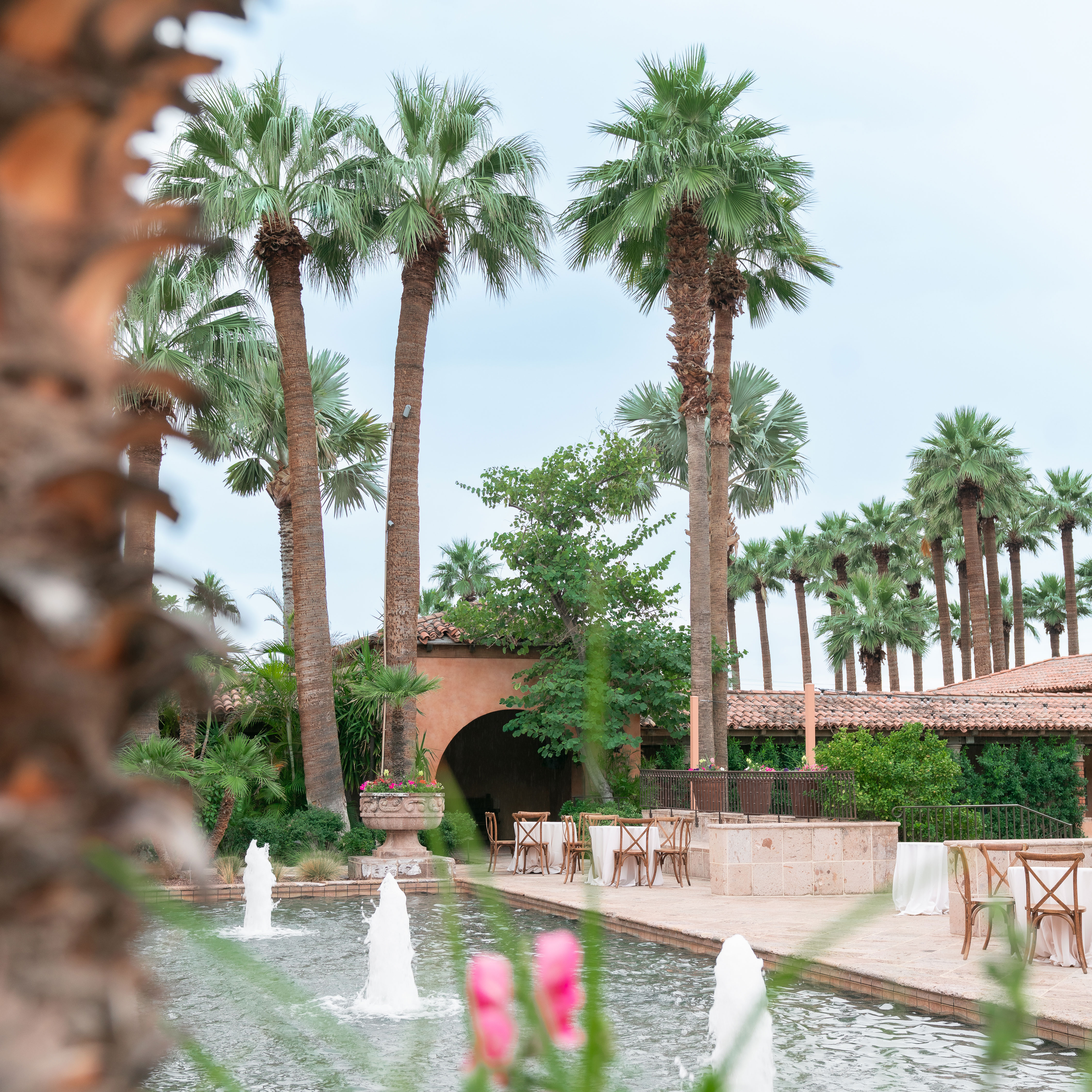 Royal Palms outdoor reception space with palm trees